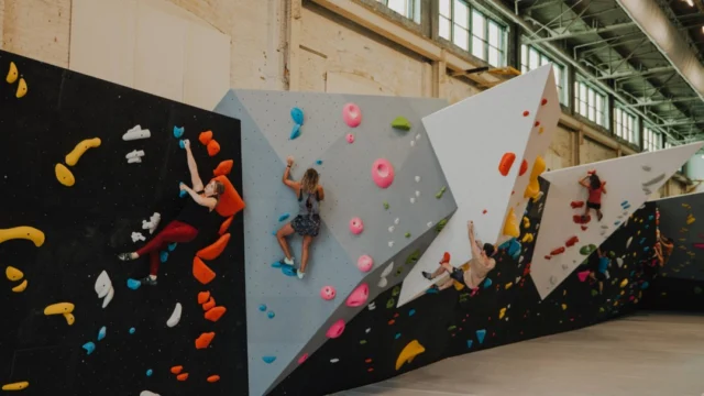 See the Steel Shop from a different view with our drone tour! From the naturally lit bouldering area, our newly redecorated yoga studio, to the whimsy of the Gravity Lab - it’s all here at the Steel Shop in the heart of historic St. Charles.

Big shoutout to @splycehouse for bringing this project to life, and of course, thank you to our 75+ community members who participated in the shoot!

#rockclimbinggym #climbingwall #rockclimbing #climbinggym #indoorclimbing #discoverstcharles #stcharles #stcharlesmo #dronevideo