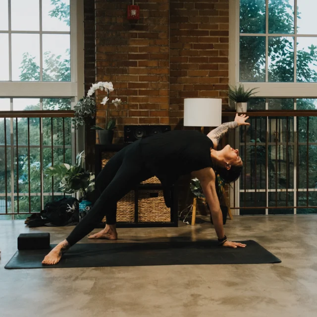 Full moons are symbolic of cycles, reflection, release and intention. 

Every month when there's a full moon, we've got a yoga class at night that'll get you in the spirit. We'll focus on grounding, breath, reflection, and intention movements.

Celebrate this celestial event with us - pop onto the link in our bio to save your spot.

#fullmoonyoga #yogaclass #climbsoill #stlouis